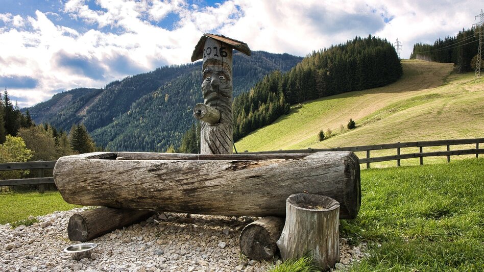 Pilgerweg Mariazeller Gründerweg - Etappe 5 - Touren-Impression #2.4 | © Weges OG