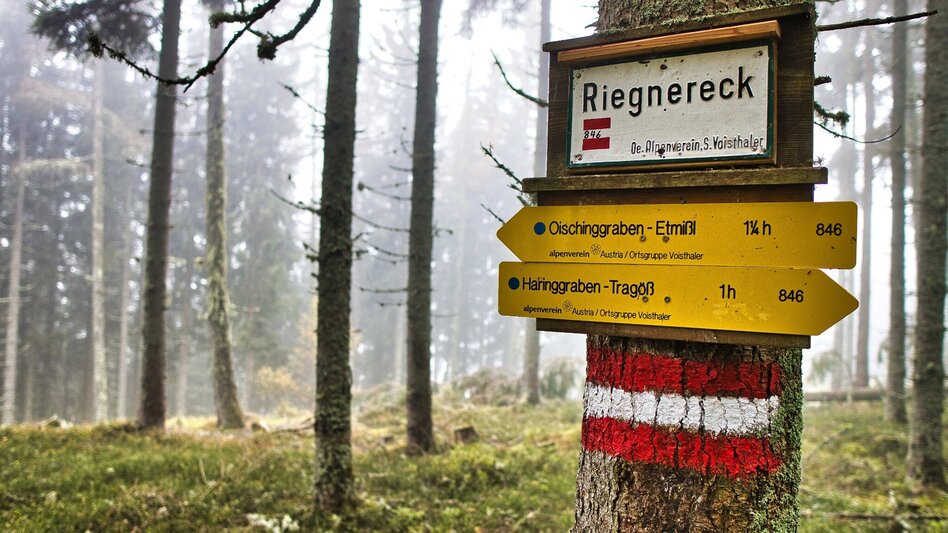 Pilgerweg Mariazeller Gründerweg - Etappe 5 - Touren-Impression #2.6 | © Weges OG