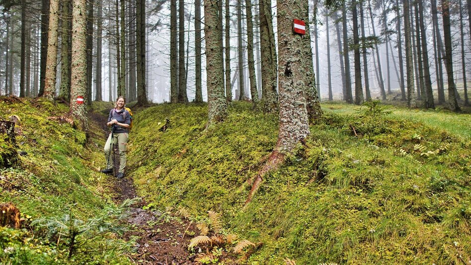 Pilgerweg Mariazeller Gründerweg - Etappe 5 - Touren-Impression #2.2 | © Weges OG