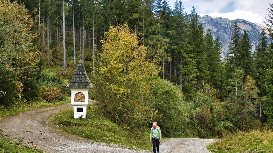 Pilgerweg Mariazeller Gründerweg - Etappe 5 - Touren-Impression #2.3 | © WEGES OG