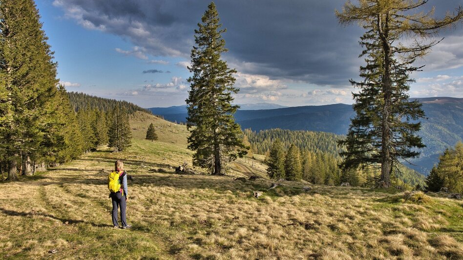 Bike & Hike Die weststeirische Heimat der Lipizzaner entdecken - Touren-Impression #2.3 | © Weges OG