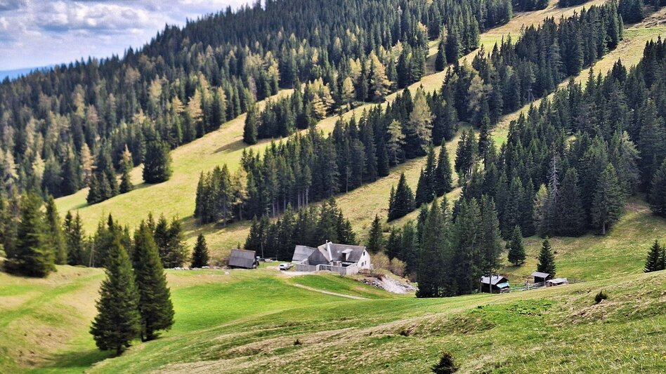 Bike & Hike Die weststeirische Heimat der Lipizzaner entdecken - Touren-Impression #2.6 | © Weges OG