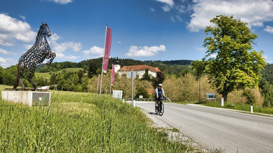 Bike & Hike Die weststeirische Heimat der Lipizzaner entdecken - Touren-Impression #2.7 | © Weges OG