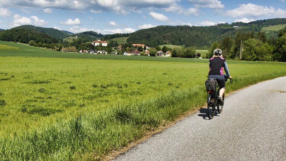 Bike & Hike Die weststeirische Heimat der Lipizzaner entdecken - Touren-Impression #2.8 | © Weges OG