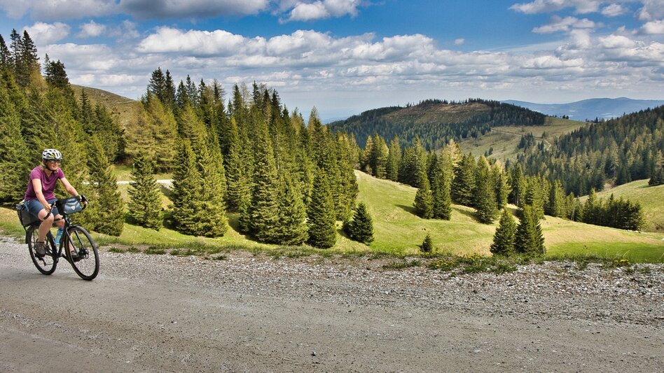Bike & Hike Die weststeirische Heimat der Lipizzaner entdecken - Touren-Impression #2.10 | © Weges OG