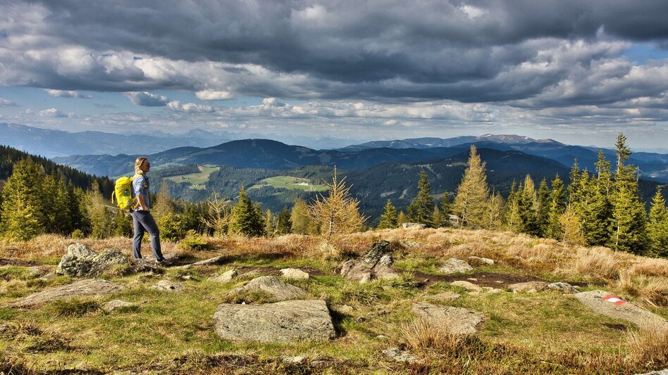 Bike & Hike Die weststeirische Heimat der Lipizzaner entdecken - Touren-Impression #2.11 | © Weges OG