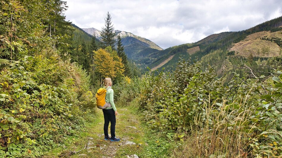 Wanderung von Vordernberg nach Tragöß zum Grünen See - Touren-Impression #2.4 | © Weges OG