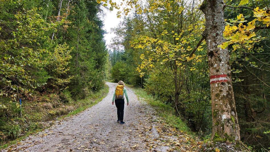 Wanderung von Vordernberg nach Tragöß zum Grünen See - Touren-Impression #2.5 | © Weges OG