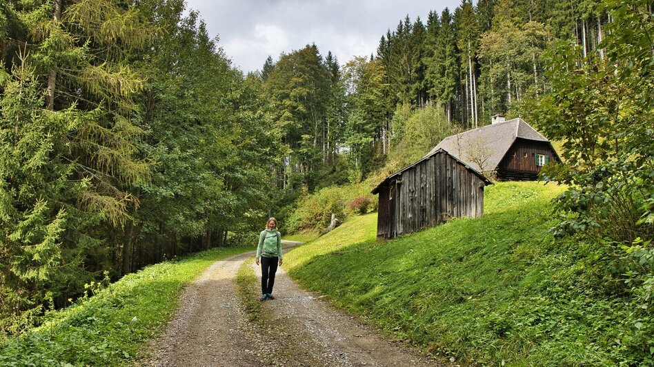 Wanderung von Vordernberg nach Tragöß zum Grünen See - Touren-Impression #2.8 | © Weges OG