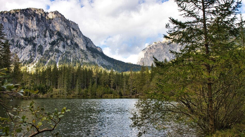 Wanderung von Vordernberg nach Tragöß zum Grünen See - Touren-Impression #2.9 | © Weges OG
