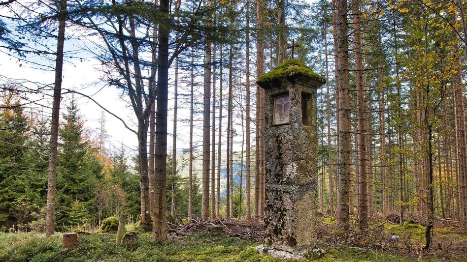 Wanderung von Vordernberg nach Tragöß zum Grünen See - Touren-Impression #2.10 | © Weges OG