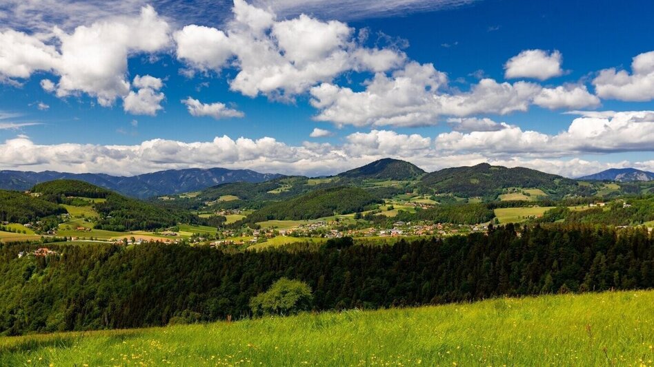 Radfahren Semriacher Tour 738 - Touren-Impression #2.2 | © Region Graz
