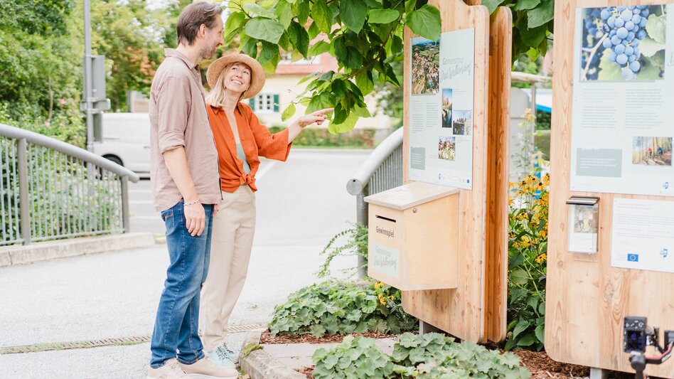 Hiking route Genusstour (pleasure tour) Bad Waltersdorf - Touren-Impression #2.6 | © Kurkommission Bad Waltersdorf