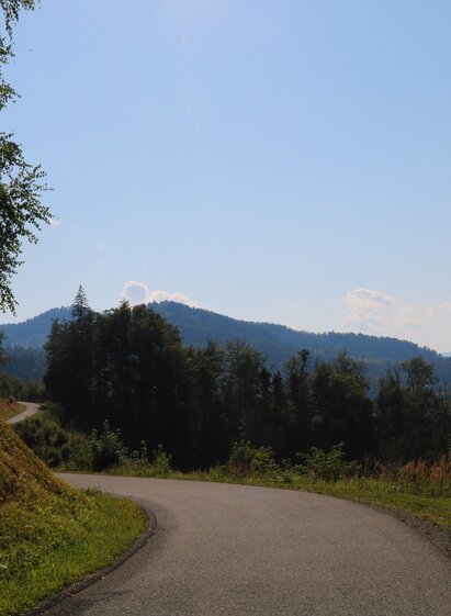 Weg zum Steinbruch | © Elisabeth Temmel | Erlebnisregion Südsteiermark | © Elisabeth Temmel