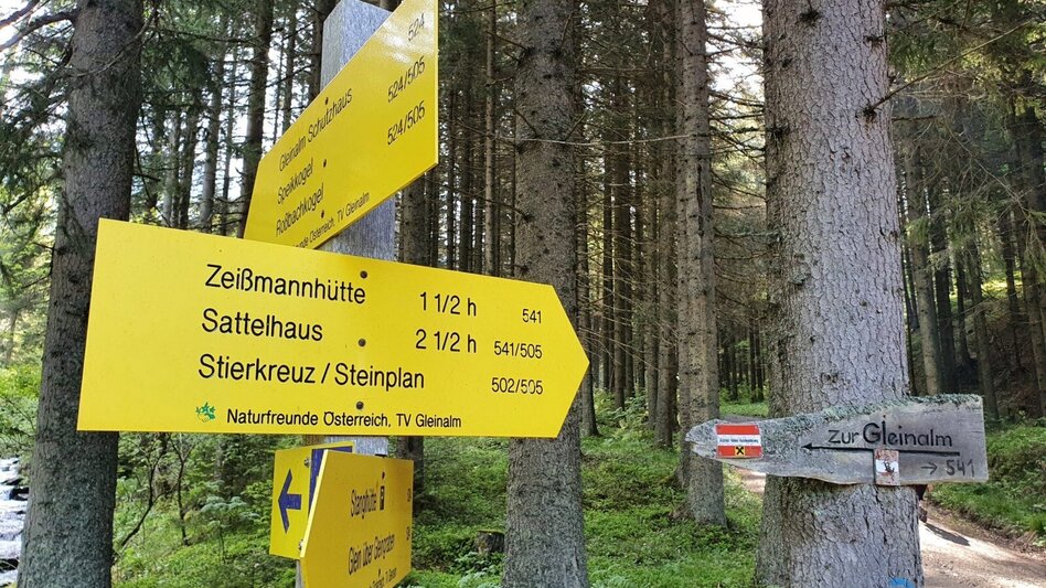 Hiking route Speikkogel vom Gelingraben - Touren-Impression #2.2 | © Martin Muhrer