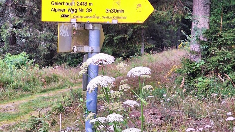Bergtour Geierhaupt vom Ingeringsee - Touren-Impression #2.6 | © Weges