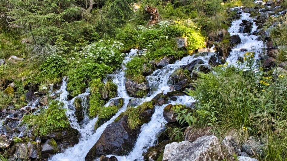 Bergtour Geierhaupt vom Ingeringsee - Touren-Impression #2.10 | © Weges