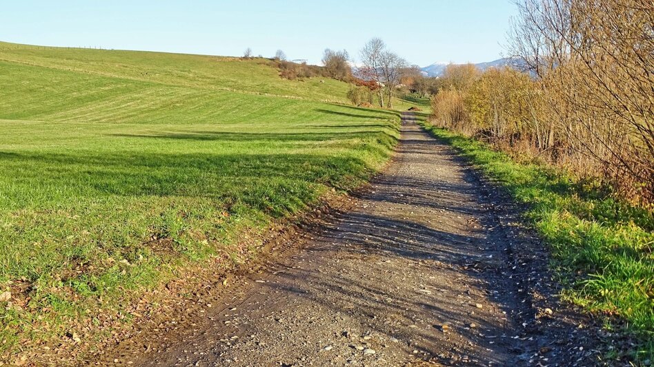 Wanderung Sillweger Aussichtswarte-Runde von Fohnsdorf - Touren-Impression #2.6 | © Weges OG