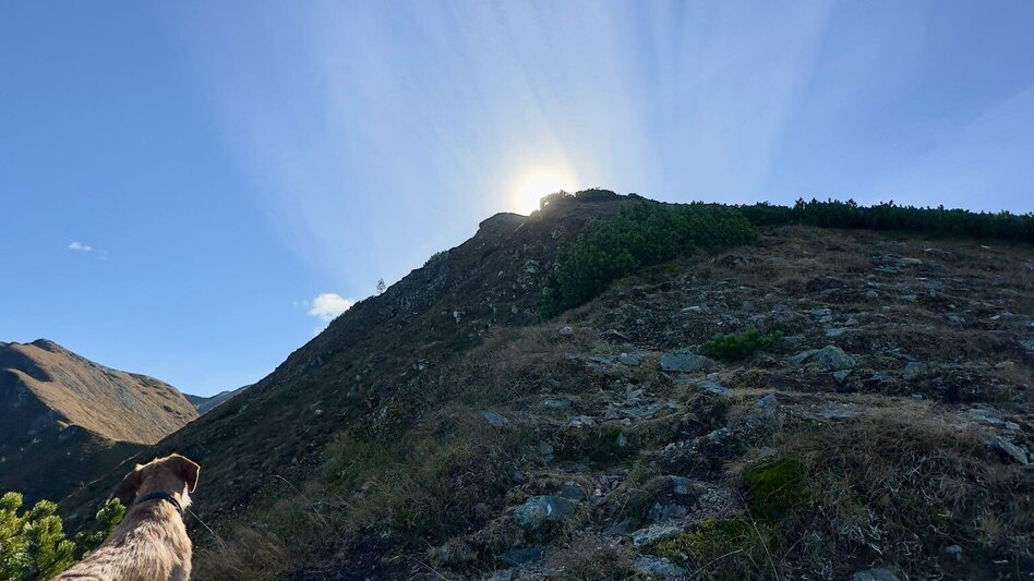 Mountain Hike Lattenberg - Goldkogel - Kerschkern - Rundwanderung - Touren-Impression #2.2 | © Christian Köberl