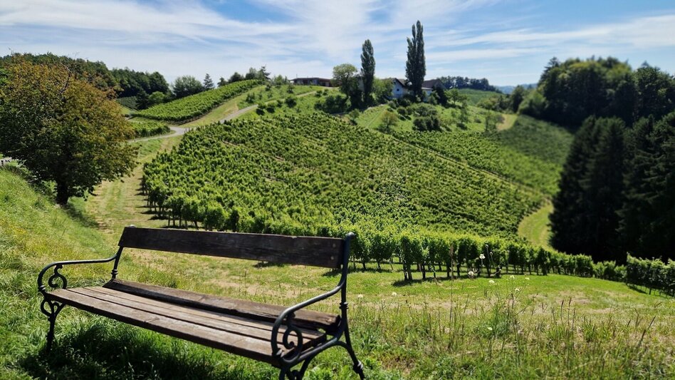 Wanderung Über Stock und Wein – Naturparkwanderweg kurze Variante - Touren-Impression #2.1 | © TV Südsteiermark/Daniela Haring