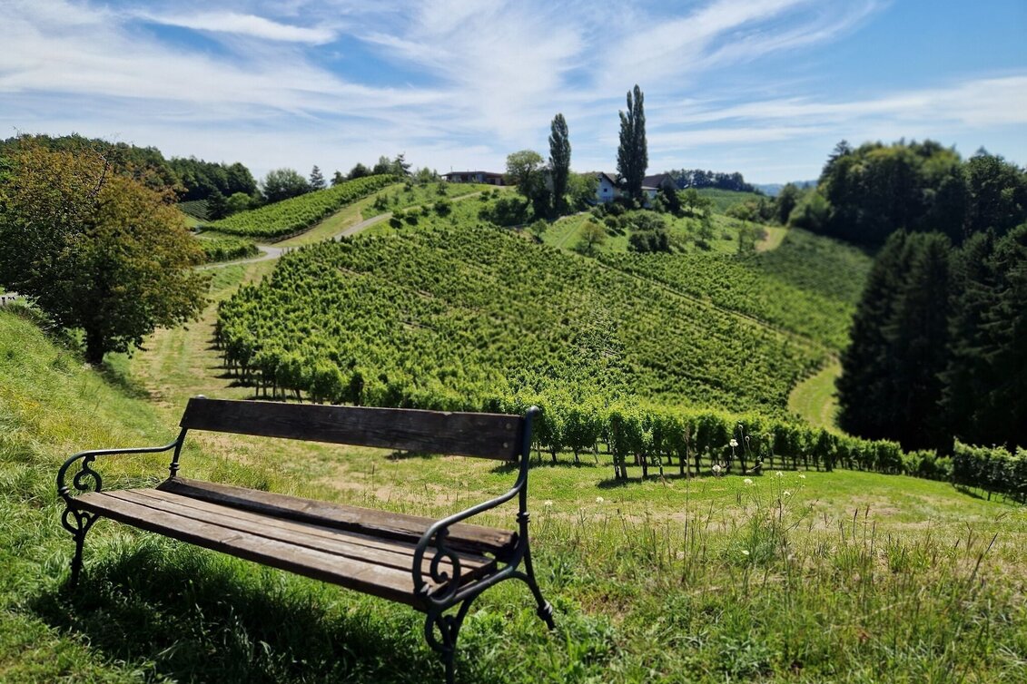 Wanderung Über Stock und Wein – Naturparkwanderweg kurze Variante - Touren-Impression #1 | © TV Südsteiermark/Daniela Haring