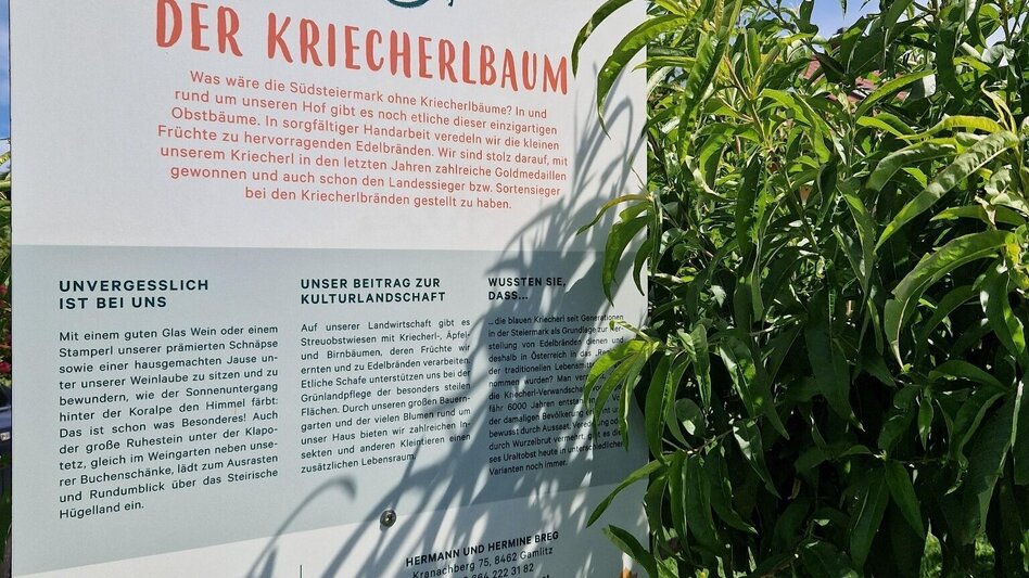 Wanderung Über Stock und Wein – Naturparkwanderweg kurze Variante - Touren-Impression #2.5 | © TV Südsteiermark/Daniela Haring