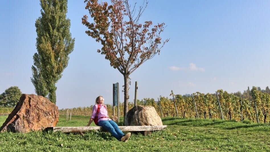 Hiking route Sernauberg, Weg 4 und 4a - Touren-Impression #2.2 | © TVB Südsteiermark/WEGES
