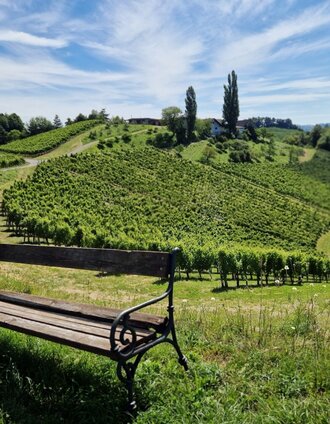 über stock und wein – naturparkwanderweg – tour 11 lt. wk „von der alm zum wein“_img_85805341 | Daniela Haring | © TV Südsteiermark/Daniela Haring