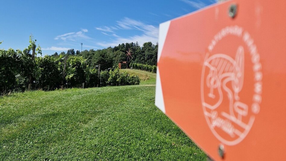 Wanderung Über Stock und Wein – Naturparkwanderweg – mittlere Variante - Touren-Impression #2.4 | © TV Südsteiermark/Daniela Haring