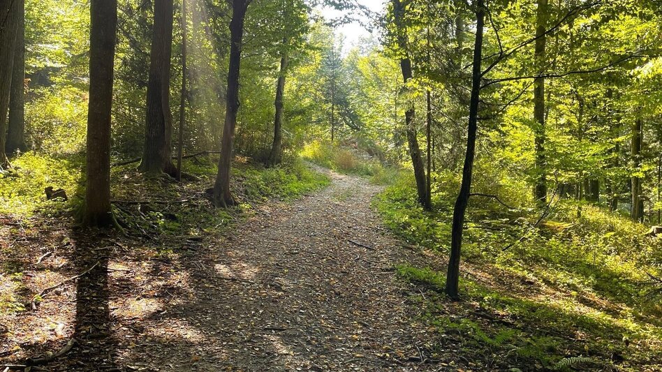 Hiking route Eckberg - Steinbach - Ratsch, path no. 6 - Touren-Impression #2.3 | © TV Südsteiermark/Brigitte Walch