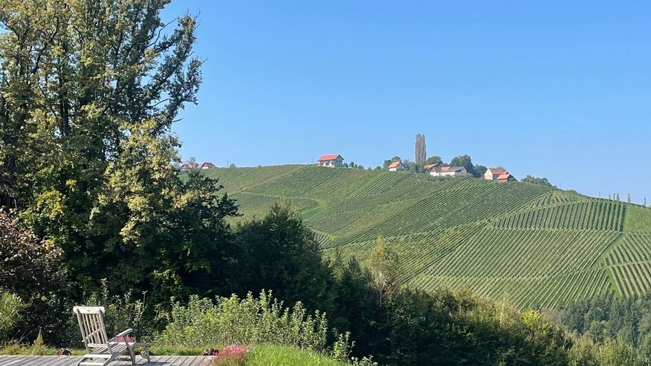 Hiking route Eckberg - Steinbach - Ratsch, path no. 6 - Touren-Impression #2.6 | © TV Südsteiermark/Brigitte Walch