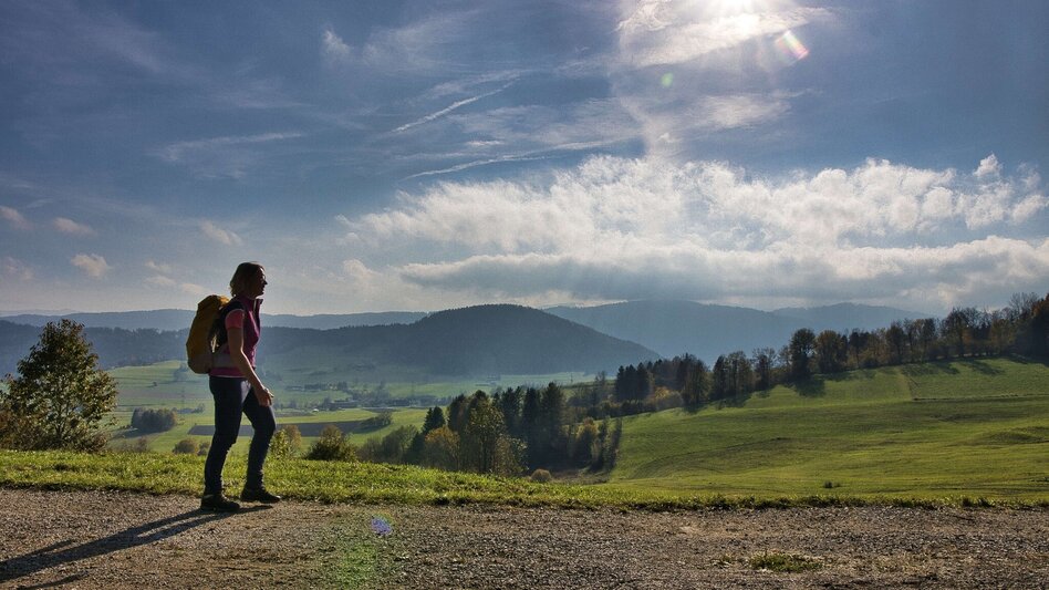 Pilgerweg Mariazeller Gründerweg - Etappe 4 - Touren-Impression #2.1 | © Weges OG