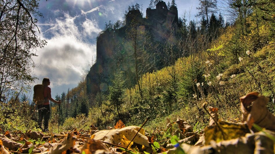 Pilgerweg Mariazeller Gründerweg - Etappe 4 - Touren-Impression #2.3 | © Weges OG