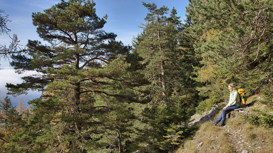 Pilgerweg Mariazeller Gründerweg - Etappe 4 - Touren-Impression #2.11 | © Weges OG