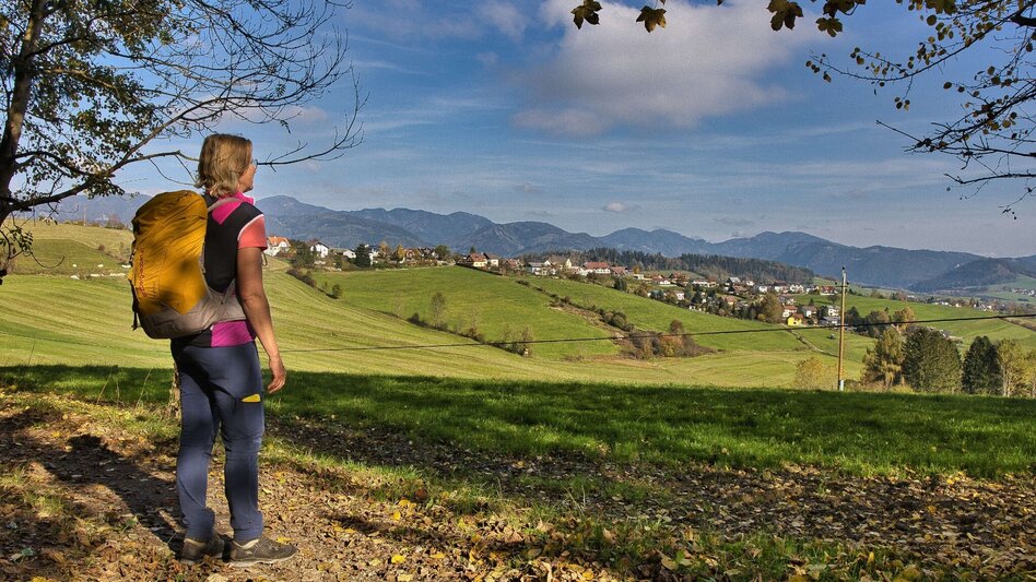 Pilgerweg Mariazeller Gründerweg - Etappe 4 - Touren-Impression #2.7 | © Weges OG