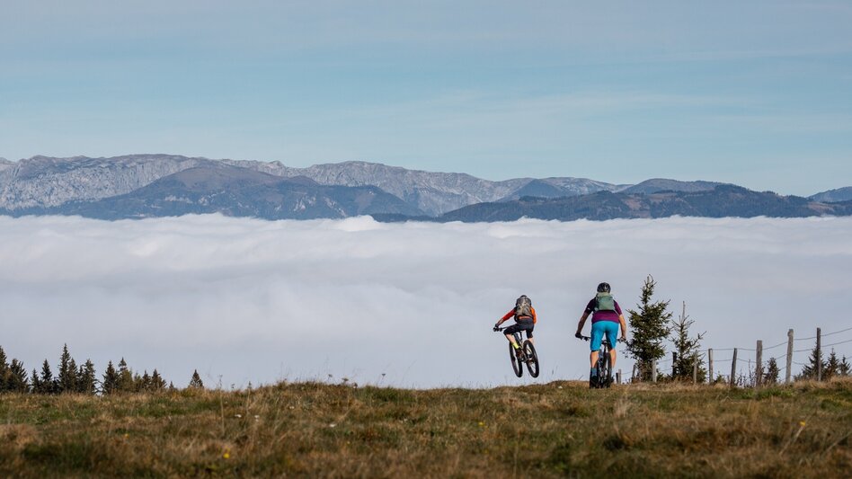 Mountain Biking Hochanger Loop Tour - Touren-Impression #2.1 | © Tourismusverband Hochsteiermark