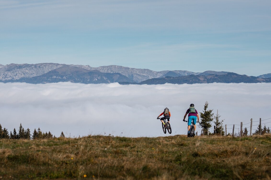 Mountain Biking Hochanger Loop Tour - Touren-Impression #1 | © Tourismusverband Hochsteiermark