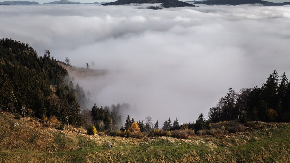 Mountain Biking Hochanger Loop Tour - Touren-Impression #2.3 | © Tourismusverband Hochsteiermark