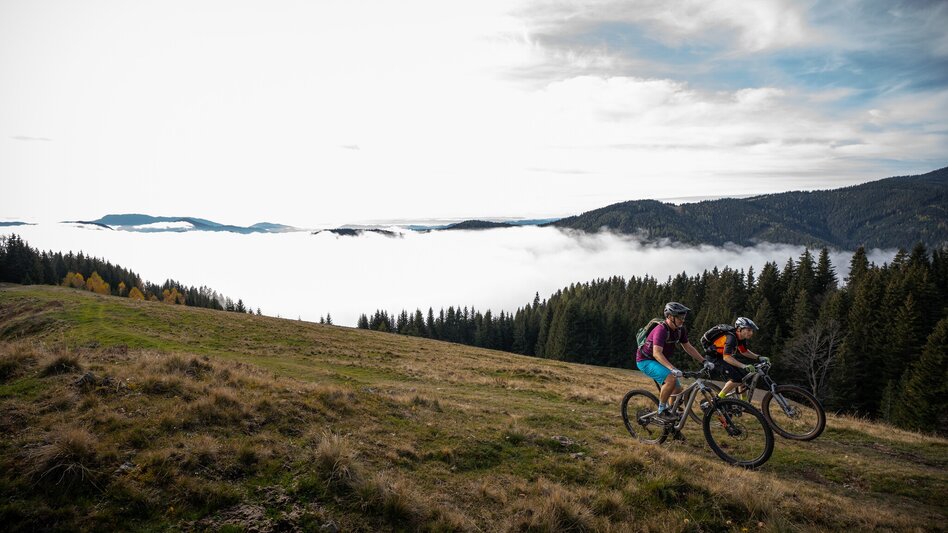 Mountain Biking Hochanger Loop Tour - Touren-Impression #2.4 | © Tourismusverband Hochsteiermark