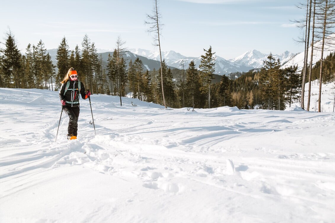 Ski Touring Mountain Lahngangkogel in winter - Touren-Impression #1