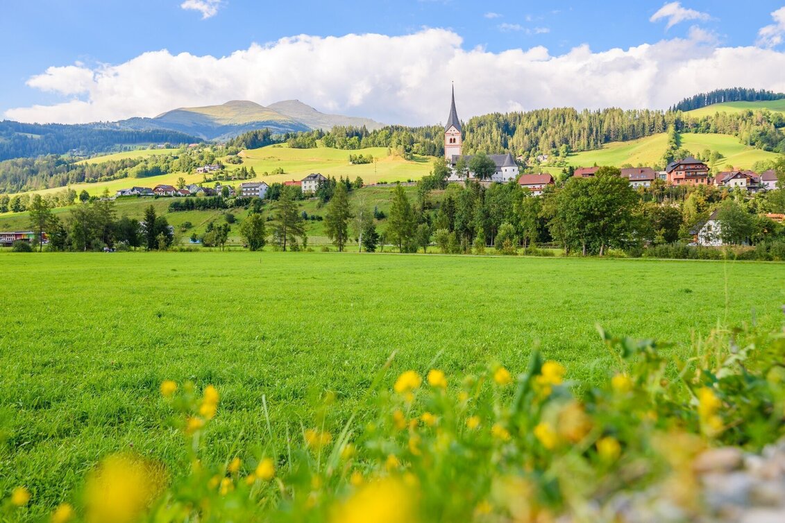Bike Riding R55 Katschtal cycle path - Touren-Impression #1 | © Tourismusverband Murau