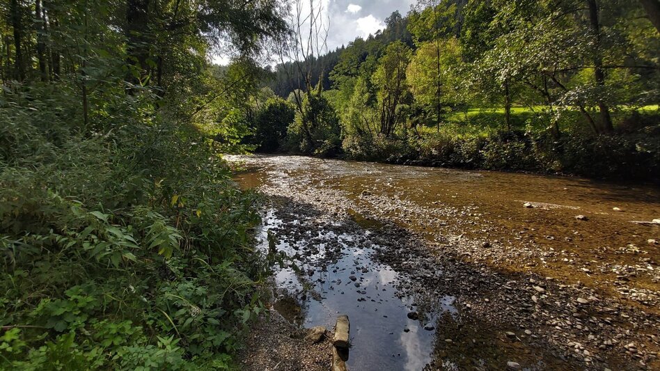 Bike Riding R11a Route Mitterdorf - Touren-Impression #2.3 | © Oststeiermark Tourismus