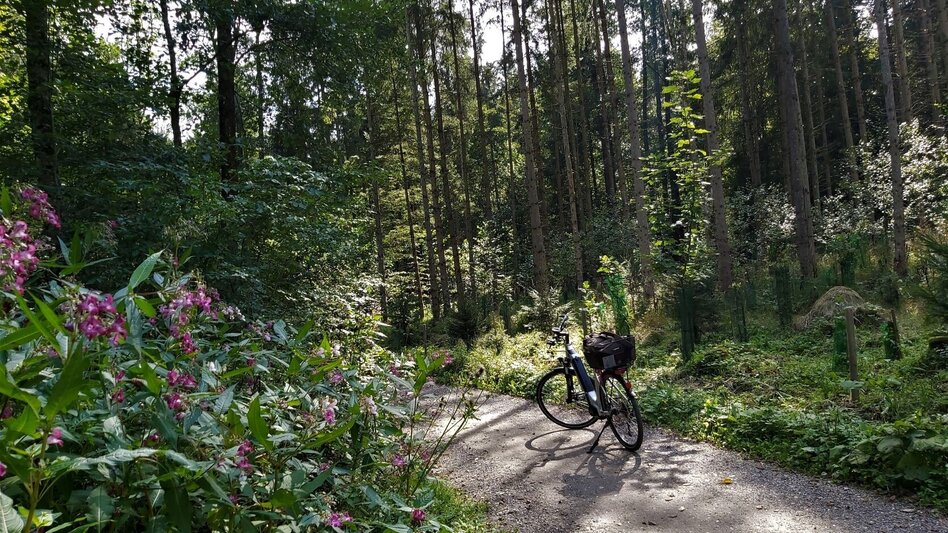 Bike Riding R11a Route Mitterdorf - Touren-Impression #2.4 | © Oststeiermark Tourismus