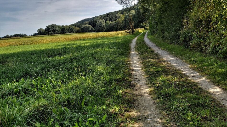 Bike Riding R11a Route Mitterdorf - Touren-Impression #2.5 | © Oststeiermark Tourismus