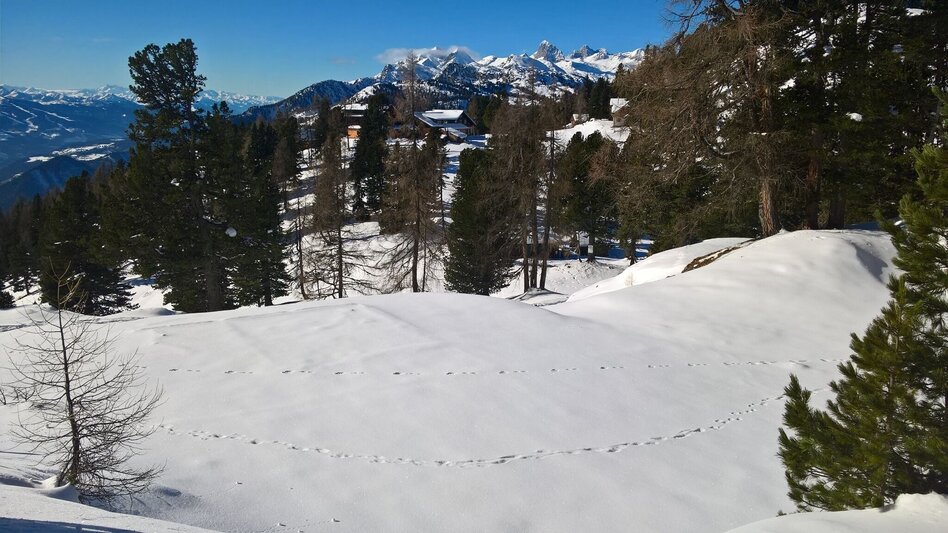 Winter Hiking Winter hiking trail Roßfeldrunde - Stoderzinken - Touren-Impression #2.1 | © Erlebnisregion Schladming-Dachstein