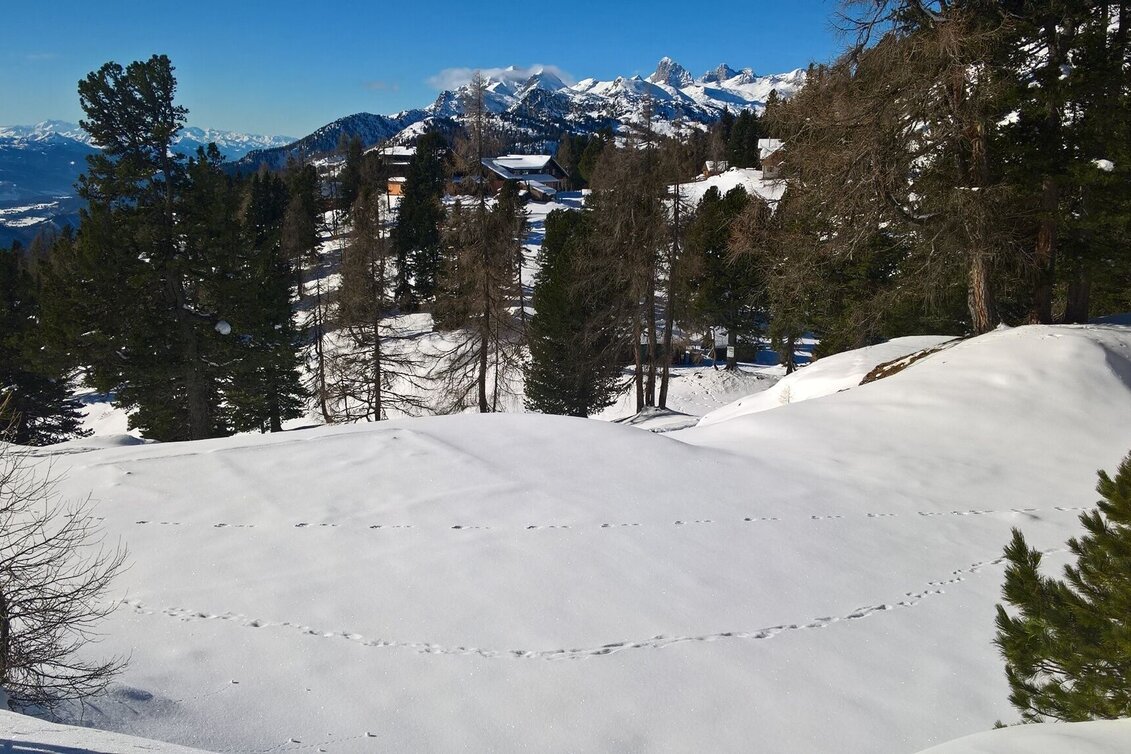 Winter Hiking Winter hiking trail Roßfeldrunde - Stoderzinken - Touren-Impression #1 | © Erlebnisregion Schladming-Dachstein