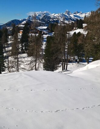 schneeschuhwanderung rossfeld stoderzinken_img_43714786 | Schladming Dachstein - TVB Gröbminger Land | © Erlebnisregion Schladming-Dachstein