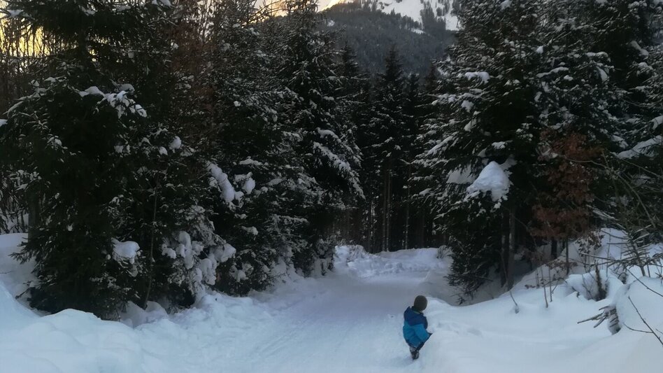 Sledding Natural tobogganing in Mitterberg - Touren-Impression #2.1 | © Erlebnisregion Schladming-Dachstein
