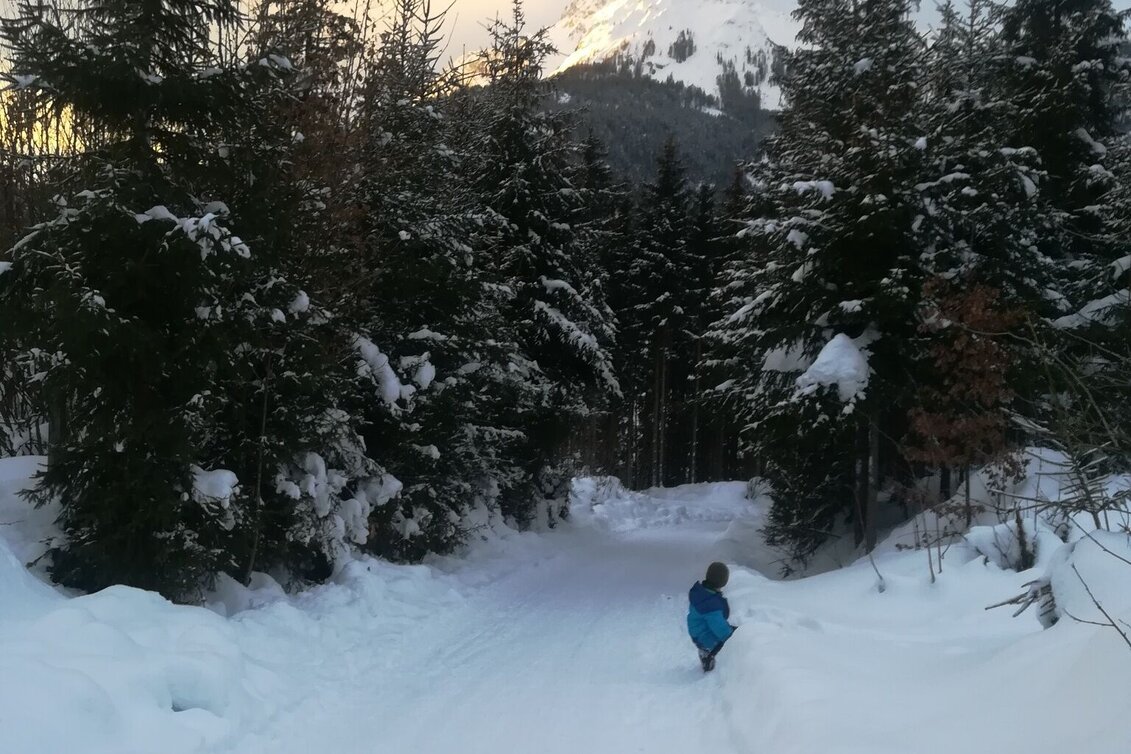 Sledding Natural tobogganing in Mitterberg - Touren-Impression #1 | © Erlebnisregion Schladming-Dachstein