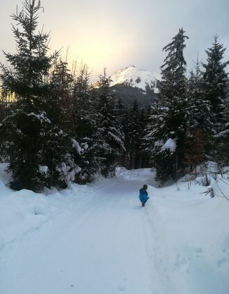 naturrodelbahn am mitterberg_img_43336491 | Schladming Dachstein - TVB Gröbminger Land | © Erlebnisregion Schladming-Dachstein
